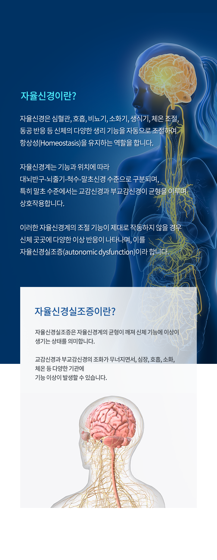 mo_자율신경치료_01