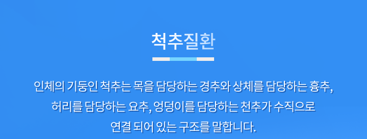 mo_척추질환_01