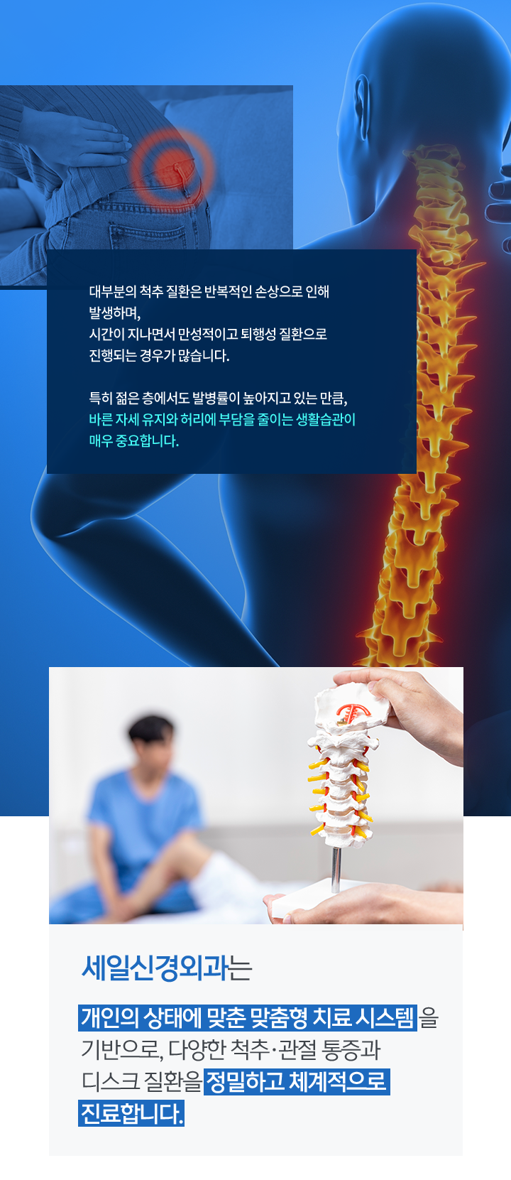 mo_척추질환_02